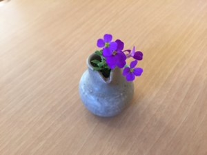 紫小花２
